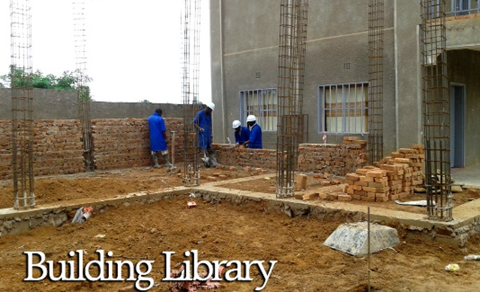 Library Construction