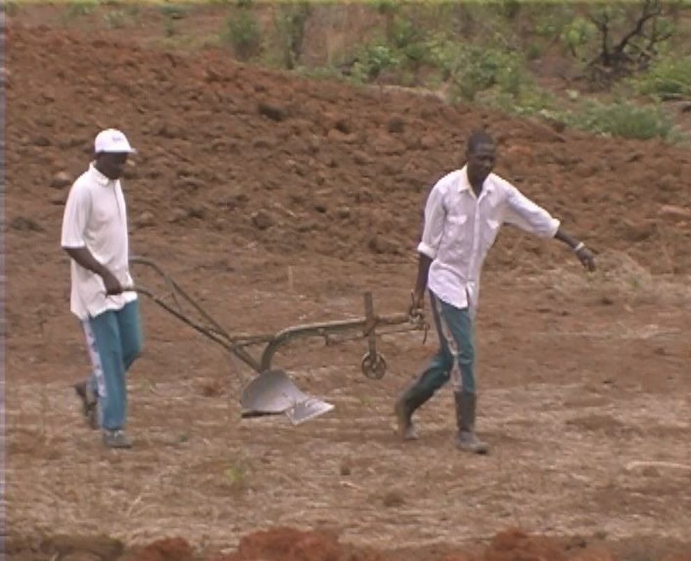 Sisters Farm Plough