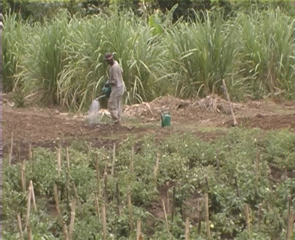 Sisters Farm Ponds for Fish and Irrigation