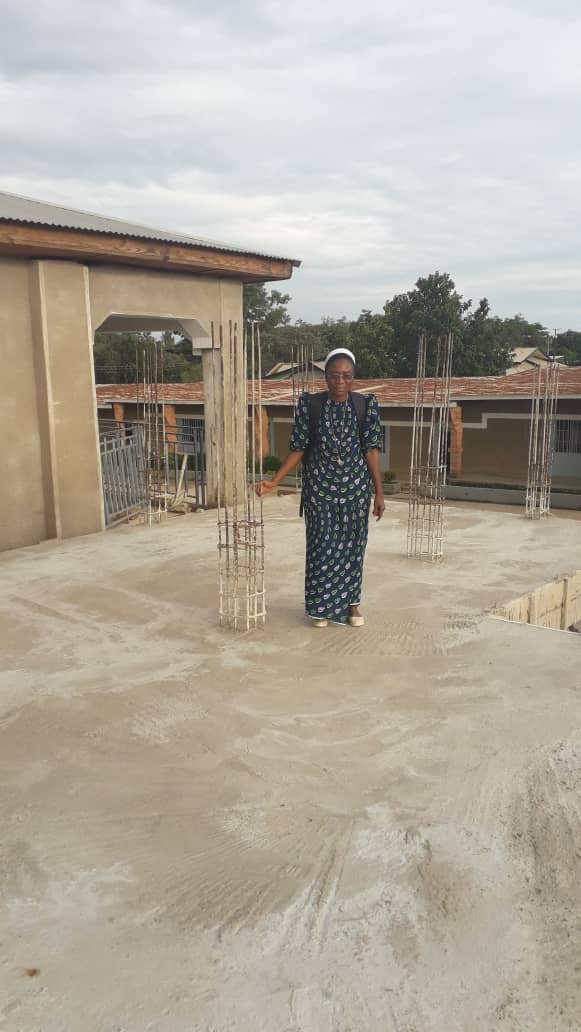 Library in February Sr Agnes on the roof